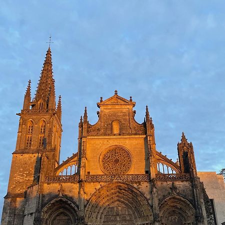Le Clos De La Cathedrale Bazas Buitenkant foto