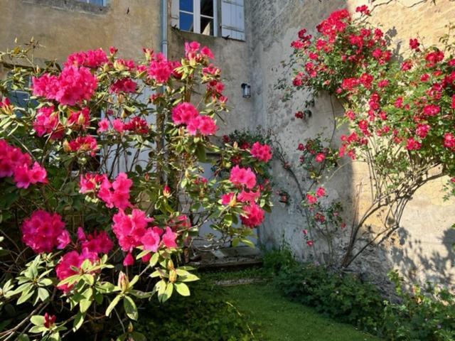 Le Clos De La Cathedrale Bazas Buitenkant foto