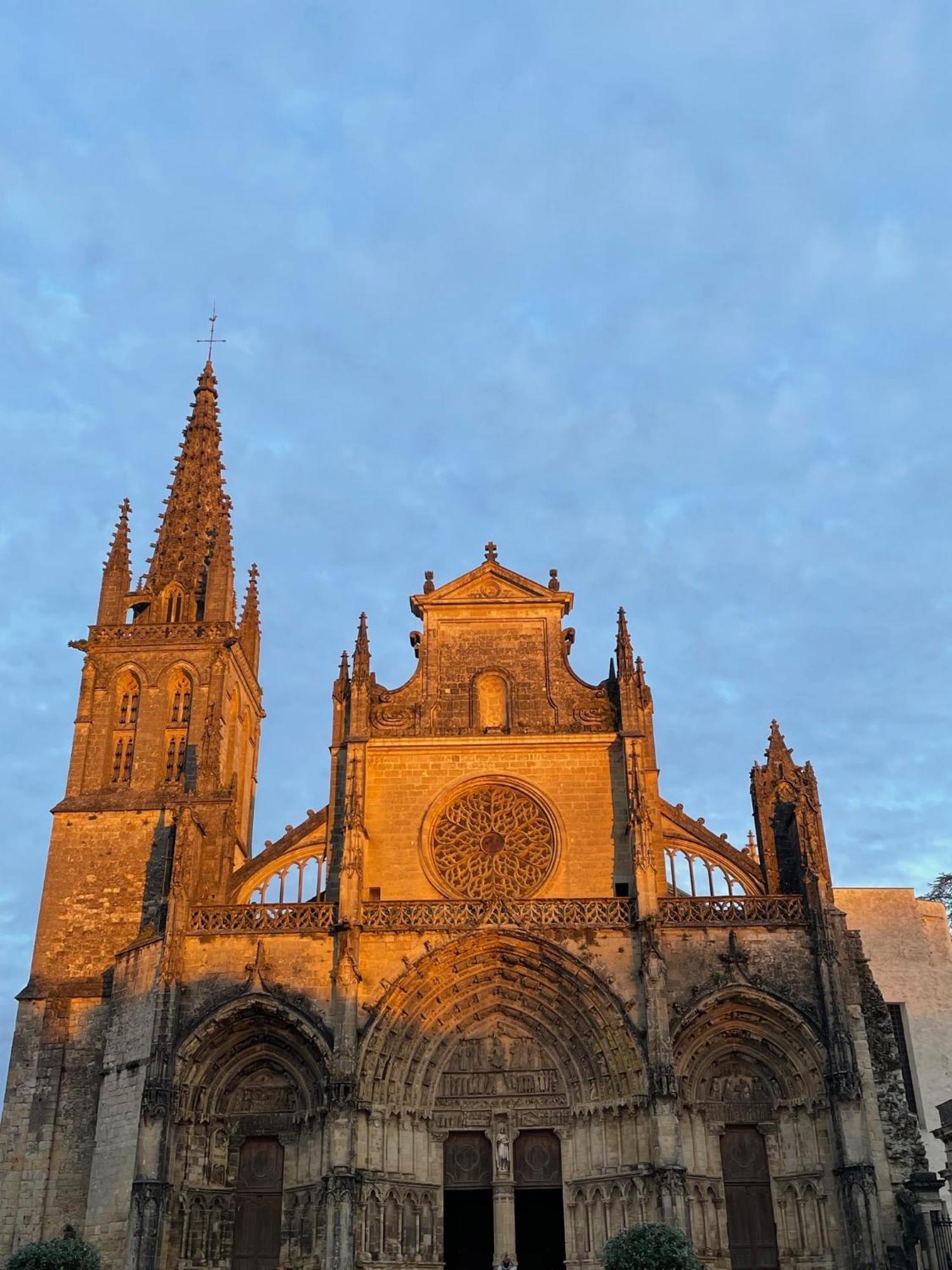 Le Clos De La Cathedrale Bazas Buitenkant foto